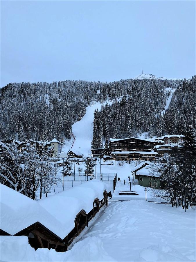 Chalet Francesca Patascoss Apartment Madonna di Campiglio Exterior photo